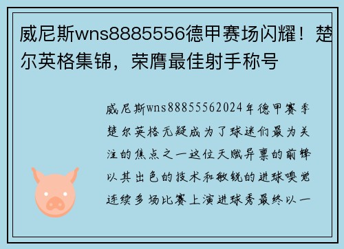 威尼斯wns8885556德甲赛场闪耀！楚尔英格集锦，荣膺最佳射手称号